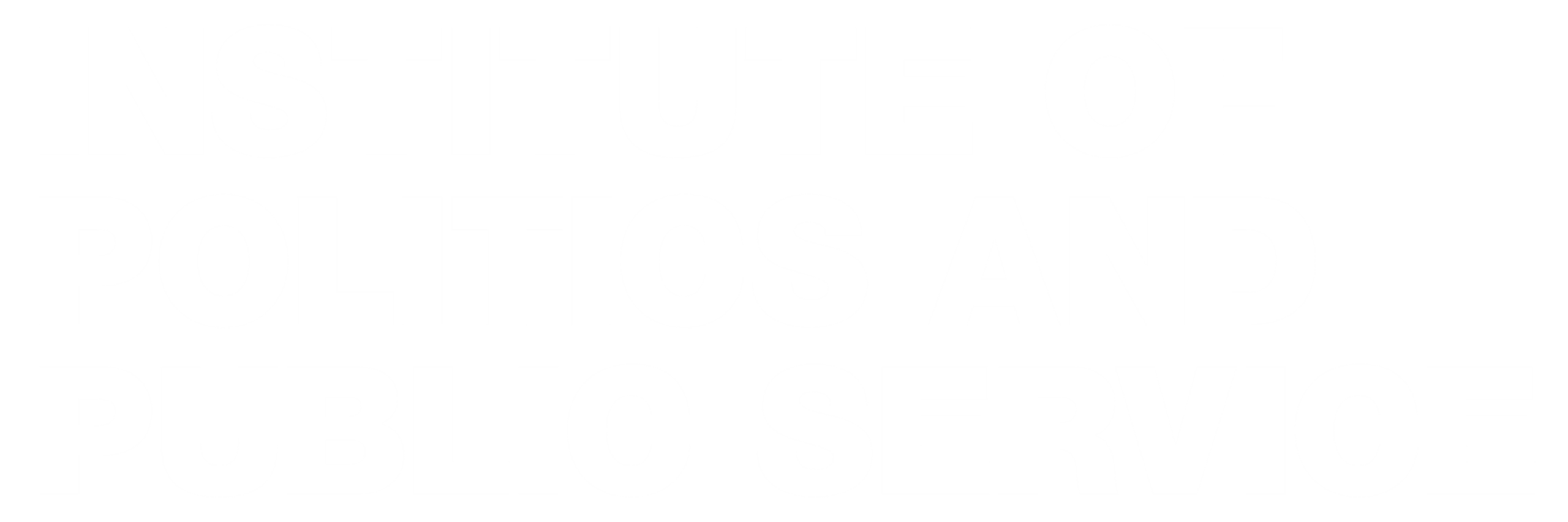 Institute of Politics and Public Service